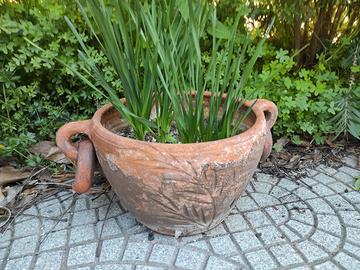 vasi terracotta con pianta 