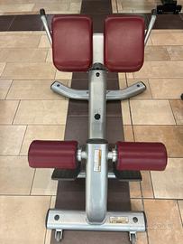 Hyperextension LifeFitness professionale  45°