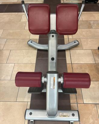 Hyperextension LifeFitness professionale  45°