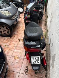 Zip 50- prezzo trattabile