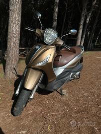 Beverly 300