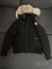 canada goose
