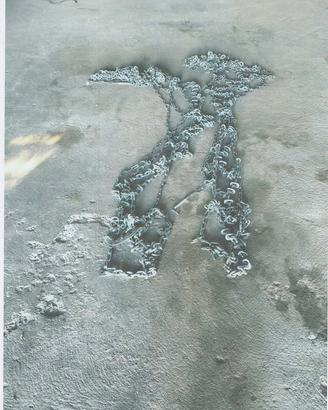 catene da neve