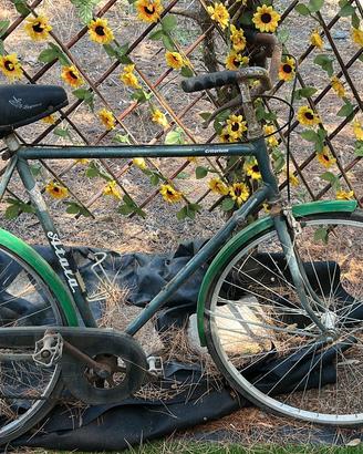 Bici uomo Atala