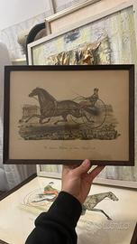 Stampa vintage cavallo Electioneer Record 2:18
