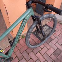 Bicicletta Mtb Specialized