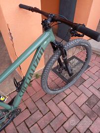 Bicicletta Mtb Specialized
