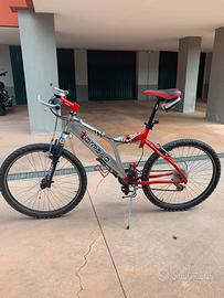 Mountain bike