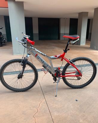 Mountain bike