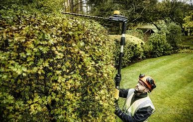 Tagliasiepi a batteria Dewalt