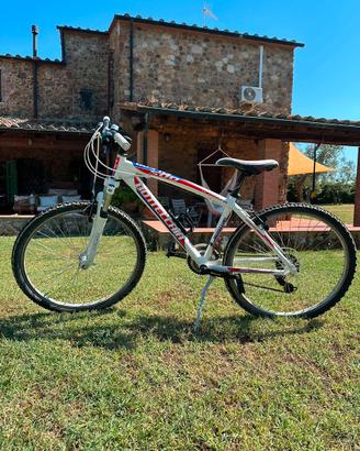 Bici Bottecchia Fx 500