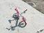 Immagine 5