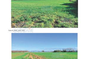 Terreno Agricolo Giugliano in Campania [A4356743]