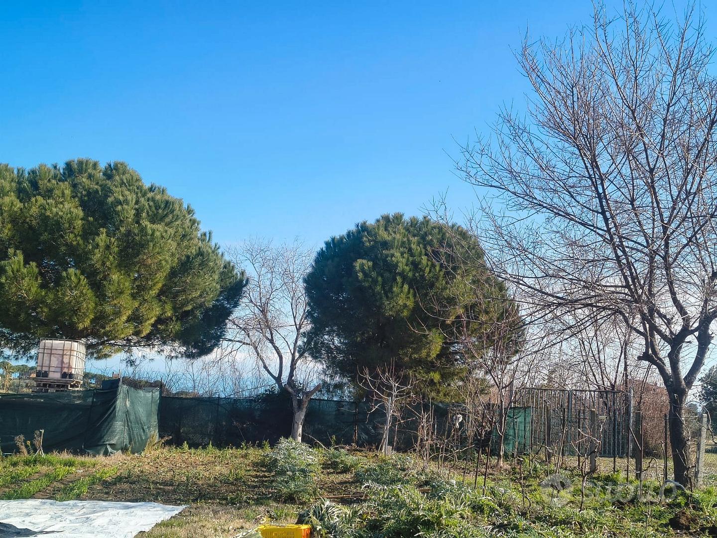 Terreno agricolo - Vista 4