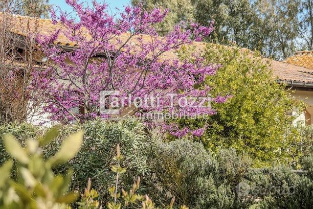 Apartment in Grosseto, Porta Nuova, Centro - Vista 4