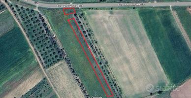 Terreni agricoli in Maracalagonis