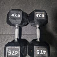 Coppia di Manubri da 47.5kg