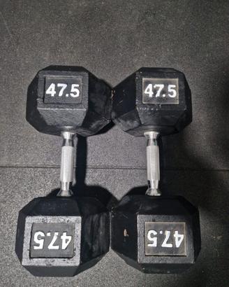 Coppia di Manubri da 47.5kg