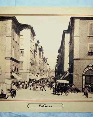 10)Riprod.ne cartolina postale Livorno inizi '900