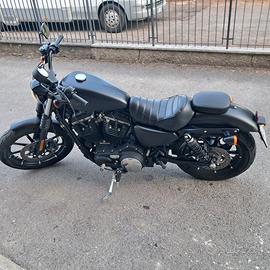 Harley davidson 883