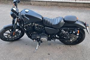 Harley davidson 883