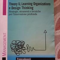 THEORY U, LEARNING ORGANIZATIONS E DESIGN THINKING