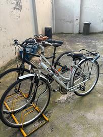 Bicicletta grigia da donna