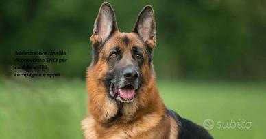 Addestratore cinofilo