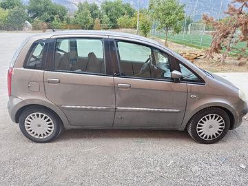lancia musa