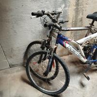 bicicletta 
