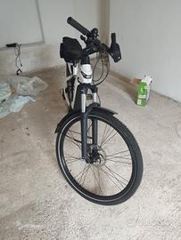 bianchi eomnia