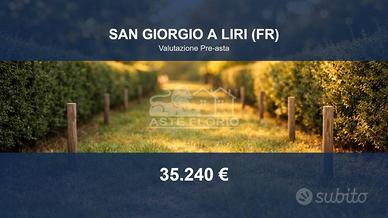 Immobile in asta di 15224 m² a San Giorgio a Liri