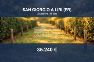 Immobile in asta di 15224 m² a San Giorgio a Liri