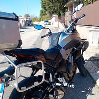 Voge Valico 500 - 2022