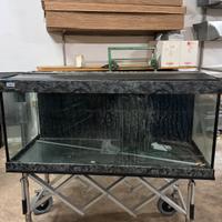 Acquario