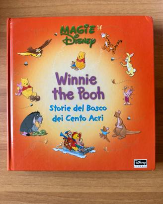 Winnie the Pooh storie del bosco dei cento acri