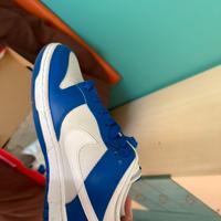 Nike Dunk Low Blu-Bianco Taglia 46