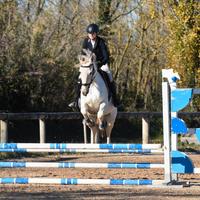 Cavalla 9 anni anglo araba (salto e sport)