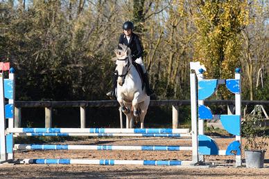 Cavalla 9 anni anglo araba per categoria brevetto