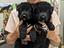 Immagine 29