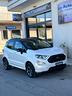 ford-ecosport-1-5-ecoblue-st-line-black-edition-na