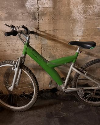 Bicicletta Mountain bike