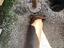 Immagine 26