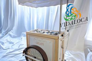 Carretti gelato e food bike