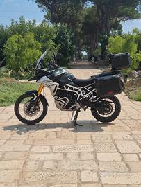 TRIUMPH TIGER 900 RALLY PRO – MY 2024