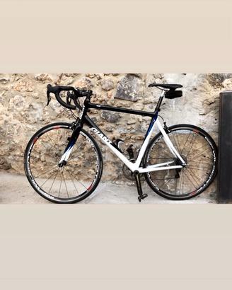 GIANT TCR tg:56