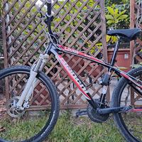 Mtb bianchi mod. cuma mis. 43 cm