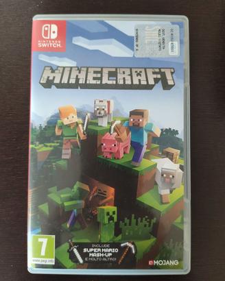 Minecraft Nintendo switch