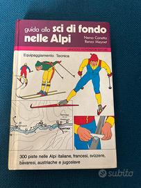 Guida allo sci di fondo nelle Alpi