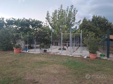 pensione casalinga 